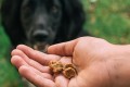 Tribal Air Dried Kaczka z marchewką i jabłkiem, treningowy suszony przysmak dla psa, 80g - Zdjęcie 4