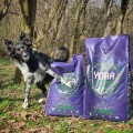 YORA All Breed Mono Insect Superfood, sucha karma dla psów wszystkich ras z insektami, 6 kg - Zdjęcie 8