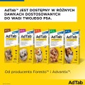ELANCO AdTab Tabletka na pchły i kleszcze dla psów 11-22 kg, 450mg - Zdjęcie 5
