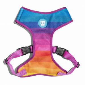 Zee Dog Szelki Air Mesh dla psa Prisma Adjustable, S