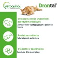 DRONTAL Ellipsoid dla kota - 2 tabletki na odrobaczanie - Zdjęcie 2