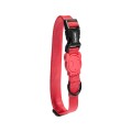 ZEE DOG Obroża dla psa Neon Collar, L - Zdjęcie 2