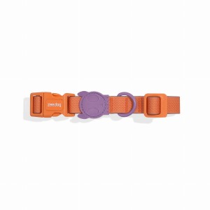 ZEE DOG Obroża dla psa Neopro Iris, L
