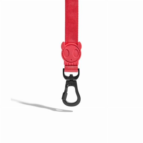 ZEE DOG Smycz dla psa Neon Collar, L