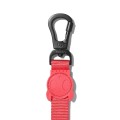 ZEE DOG Smycz dla psa Neon Collar, L - Zdjęcie 2