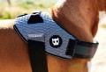 ZEE DOG Szelki dla psa Fly harness Urban, rozm. 3 - Zdjęcie 6