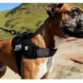 ZEE DOG Szelki dla psa Fly harness Gotham, rozm. 5 - Zdjęcie 8