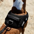 ZEE DOG Szelki dla psa Fly harness Gotham, rozm. 3 - Zdjęcie 6