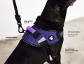 ZEE DOG Szelki dla psa Fly harness Wicked, rozm. 3 - Zdjęcie 7