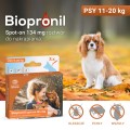 BIOPRONIL spot-on 134 mg - przeciw pchłom i kleszczom dla psa 11-20 kg, 3 pipety - Zdjęcie 3