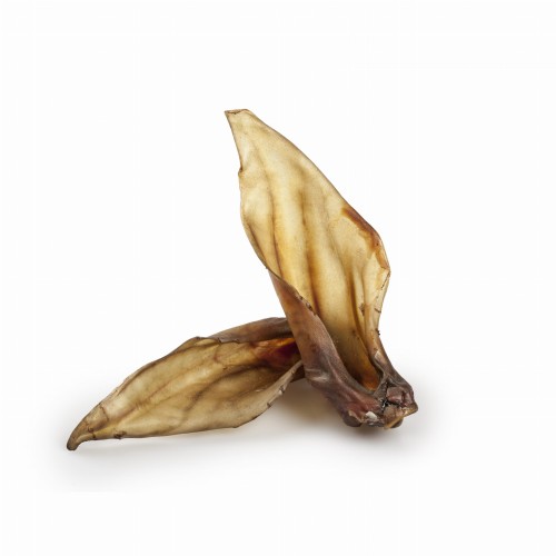 BALTO Ucho jelenia, 1 szt