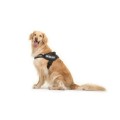TRIXIE Szelki Julius-K9® IDC, L–XL: 71–96 cm/50 mm, czarny - Zdjęcie 2