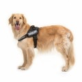 TRIXIE Szelki Julius-K9® IDC, L–XL: 71–96 cm/50 mm, czarny - Zdjęcie 3