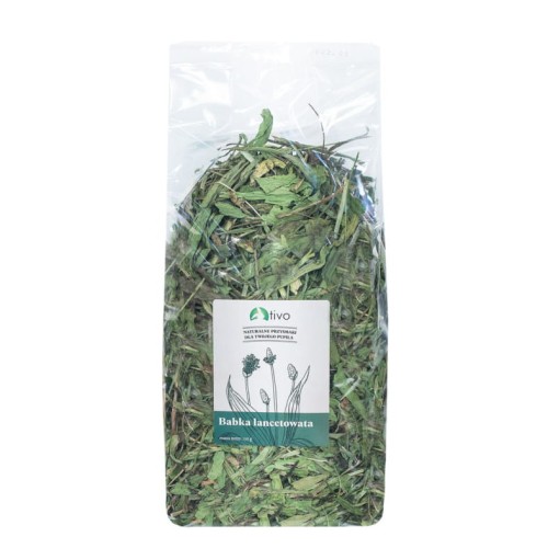 TIVO Babka lancetowata, 150g