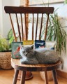 NATUREA Mokra karma dla kotów sterylizowanych, Sterilized Kurczak z białą rybą, 85g - Zdjęcie 3
