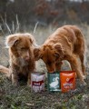 NATUREA Mokra karma dla szczeniąt i psów, Wołowina 300g - Zdjęcie 2