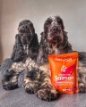 NATUREA Mokra karma dla szczeniąt i psów, Wołowina 300g - Zdjęcie 5