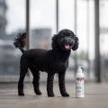 VET EXPERT Detox Care Deep Dark Shampoo, szampon dla psów i kotów o ciemnej i czarnej sierści, 250 ml - Zdjęcie 3