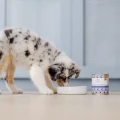 PERRO JUNIOR Królik z dynią dla szczeniąt, 400g - Zdjęcie 2