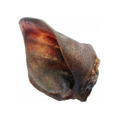 BALTO Ucho dzika, 1 szt