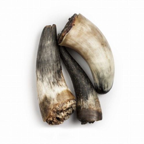 BALTO Rogi wołowe, 250g