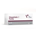 VET EXPERT Hepatiale Forte na wsparcie wątroby dla psów i kotów, 40 tab. - Zdjęcie 1
