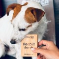NATUREA Naturals Small Breed Acqua Deep Ocean karma dla szczeniąt i psów dorosłych małych ras, Tuńczyk 2 kg - Zdjęcie 3