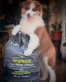 NATUREA Ethos Regional Puppy bezzbożowa karma dla szczeniąt, Kurczak 1,6 kg - Zdjęcie 2