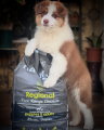 NATUREA Ethos Regional Puppy bezzbożowa karma dla szczeniąt, Kurczak 1,6 kg - Zdjęcie 3