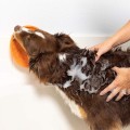 LICKIMAT Splash miska płytka (krzyżyk - miękka z przyssawką) niebieska - Zdjęcie 3