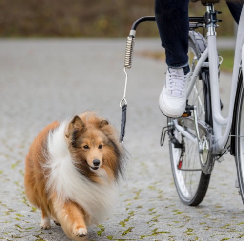 TRIXIE Zestaw rowerowy dla małych i średnich psów