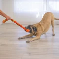 KONG Zabawka dla psa Knots Snake M - Zdjęcie 3