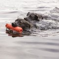 KONG Training Dummy L - Zdjęcie 2