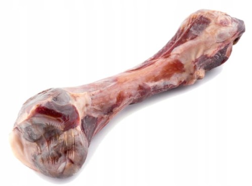 MACED Kośc z szynki włoskiej 1 sztuka, 330 g