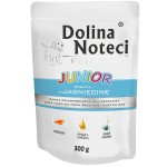 DOLINA NOTECI Pies junior / Jagnięcina 300 g