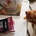 NATUREA Biscuits Ryba z oliwą i ziołami, bezzbożowe ciastka dla psów,140g - Zdjęcie 3