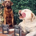 NATUREA Biscuits Pomidory z oliwą i parmezanem, bezzbożowe ciastka dla psów, 140g - Zdjęcie 2