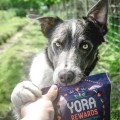 YORA Rewards Insect, przysmaki nagroda dla psów z insektami, 100g - Zdjęcie 5