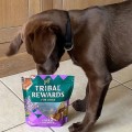 TRIBAL Rewards Kurczak i siemię lniane, domowe ciastka dla psa, 125g - Zdjęcie 4