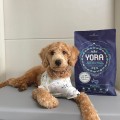 YORA Puppy FirstSteps Superfood, sucha karma dla szczeniąt z insektami, 12 kg - Zdjęcie 6