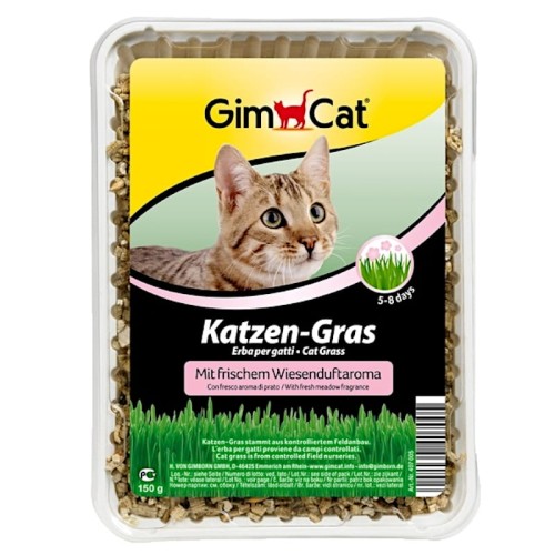GIMCAT Trawa dla kota z pojemnikiem Katzen-Grass, 150 g