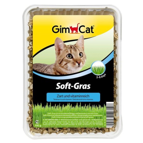 GIMCAT Trawa dla kota z pojemmnikiem Soft-Grass, 100 g