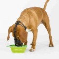 TRIXIE Silikonowy Kaganiec Muzzle Flex XL, czarny - Zdjęcie 5