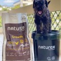NATUREA Czarne wiadro na suchą karmę, 43 litry - Zdjęcie 2