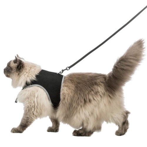 TRIXIE Szelki dla kota ze smyczą, XL 36–54 cm, 1,20 m, czarne