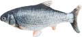 TRIXIE Wriggle fish zabawka, dla kota z kocimiętką, ładowana USB, 30 cm - Zdjęcie 2