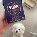 YORA Mono Insekty z jabłkiem i pasternakiem, mokra karma dla psów z insektami, 390g - Zdjęcie 4