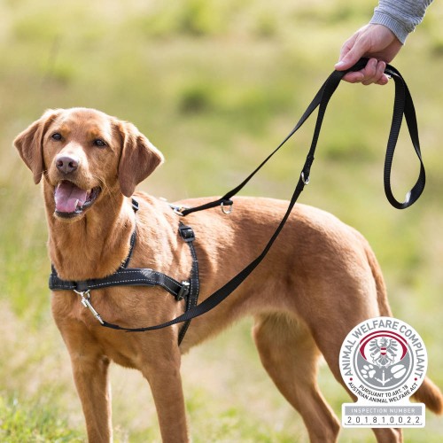 TRIXIE Szelki Lead'n'Walk Soft M–L: 55–90 cm/25 mm, czarne